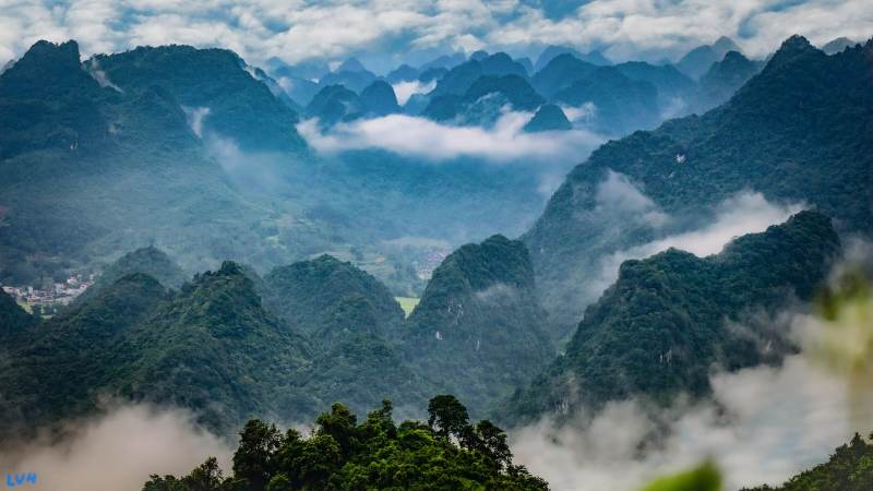 和平精英职业比赛观赛入门指南